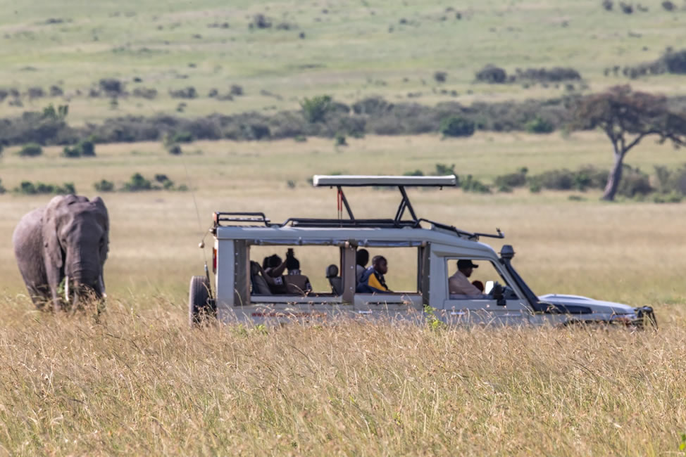 sentrim mara game drives